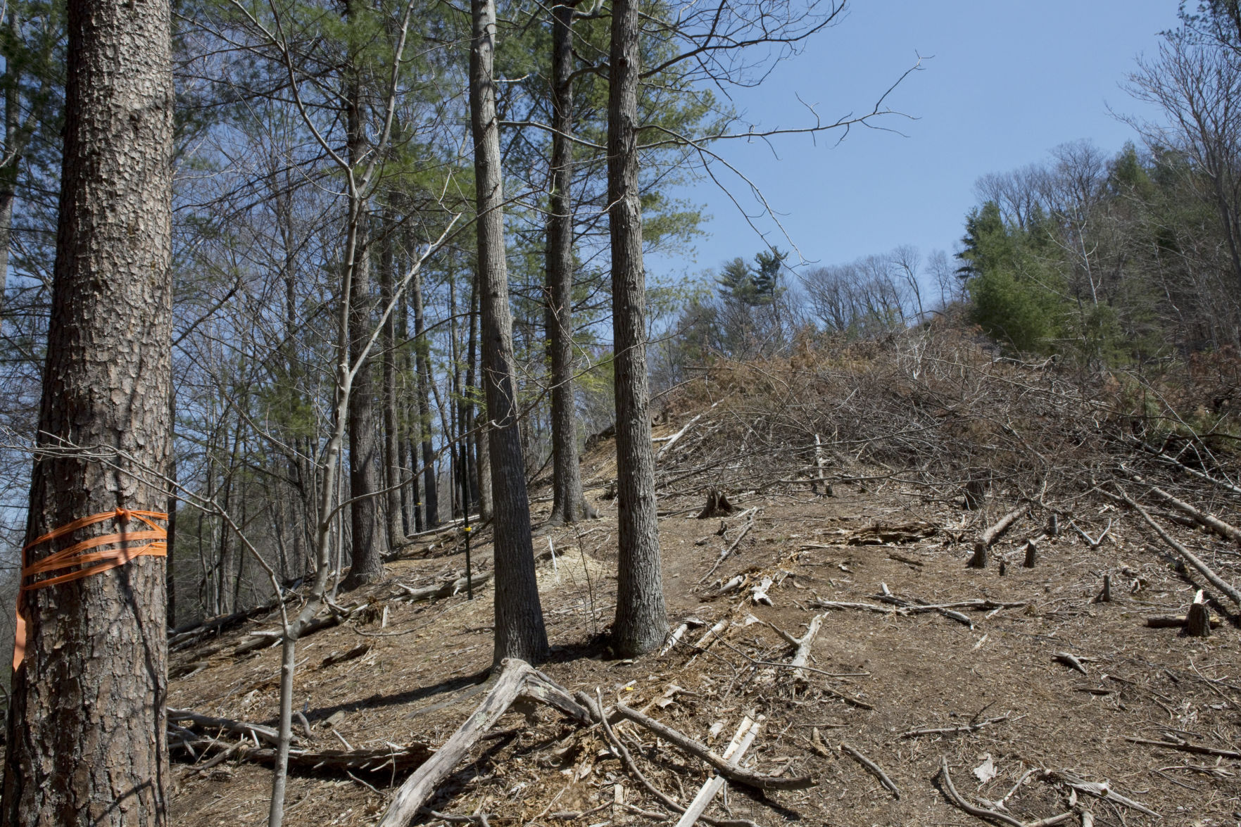 Mountain Valley Pipeline Protesters